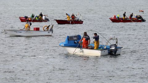 Mariscadores faenando en bancos de libre marisqueo en Os Lombos do Ulla a principios del pasado noviembre