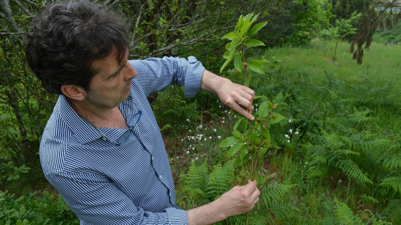 rea natural protegida del ro Cabe
