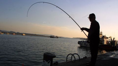 Desde el 7 de agosto los pescadores recreativos deben cumplir normas nuevas y contar con seguro si quieren lanzar las caas en los muelles