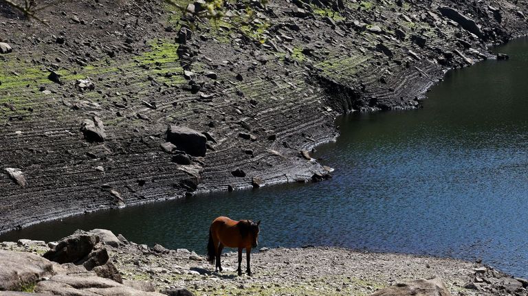 La falta de lluvias en Galicia podría prolongar la sequía hasta otoño