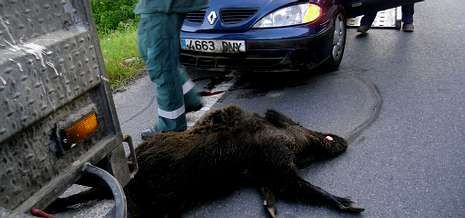 Los bomberos de Nanutecnia se concentraron delante del parque comarcal de Sarria