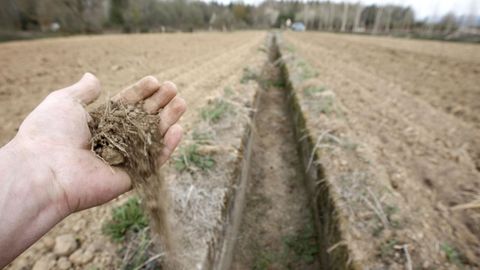 Canaleta del regadío sin agua en el verano del 2017, otro año de intensa sequía