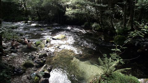 El río Lor en su tramo alto, dentro del municipio de Folgoso do Courel