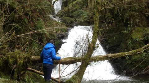 Ruta Fervenzas da Reixidoira, en Oza Cesuras