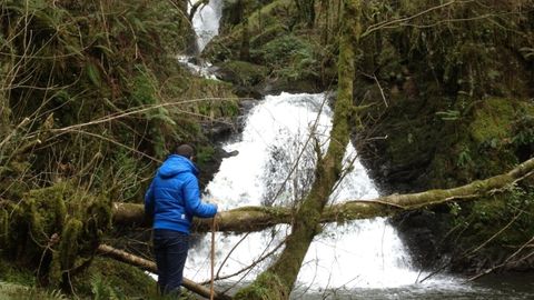 Ruta Fervenzas da Reixidoira, en Oza Cesuras