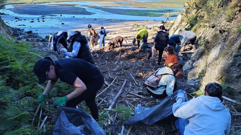 Los voluntarios retiran 3.000 kilos de basura de las playas de Poio