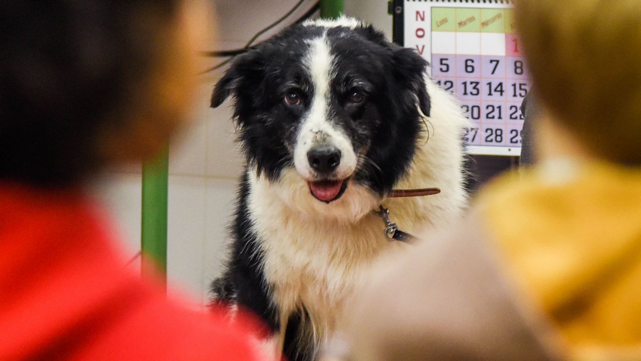 Las im�genes de una noche solidaria en Sarria.Imagen de Sarria en julio de 1993