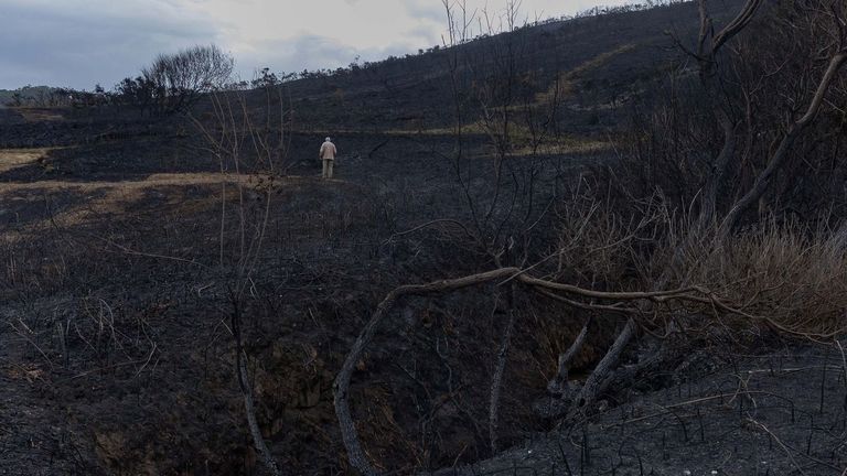 Calcinadas ya 900 hectáreas en los incendios de Ponteareas y Carballo
