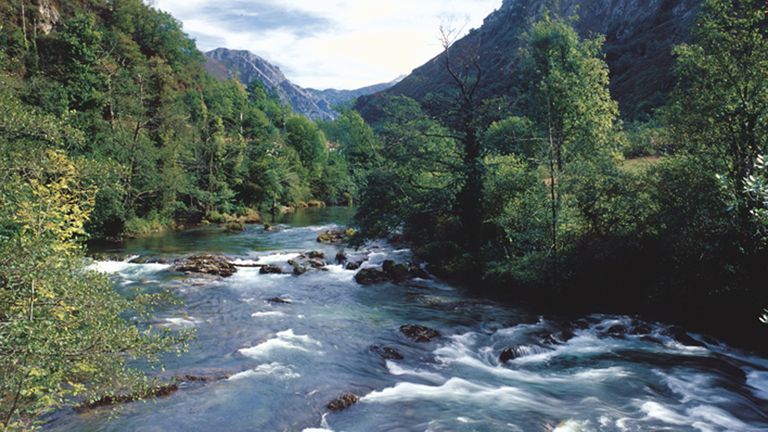 Imagen del río Sella