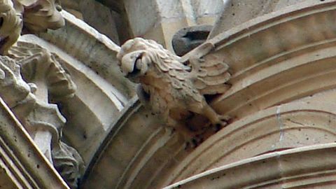 El guila es un animal recurrente en la iconografa medieval, en especial en forma de grgola. Podra ser un vigilante del templo, una figura protectora. Catedral de Oviedo