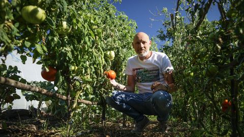 Juanjo Rodríguez muestra unos tomates de su huerta de Vilamarín