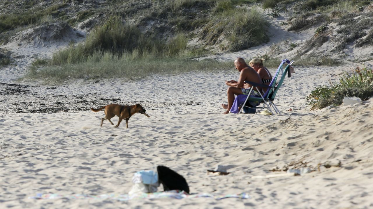 La Exposicin Filatlica Nacional de Lugo, en imgenes.En la playa de Donios se permite la presencia de perros, siempre bajo el control de sus dueos