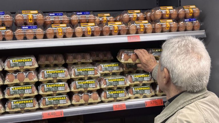 El Gobierno abre la puerta a intervenir el precio de los huevos, por las nubes a causa de la gripe aviar