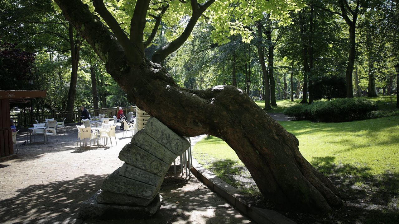 Trabajos de desinfecci�n en la residencia de ancianos de Grado