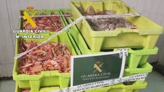 Armador, patr�n y almacenista, denunciados en el puerto de A Coru�a por capturar cigala en veda y en zona prohibida