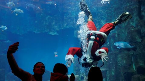 Los visitantes observan a un buzo disfrazado de Pap Noel en el acuario de Pars