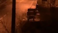 Avistamiento de un oso pase�ndose por las calles de Ventanueva, Cangas del Narcea