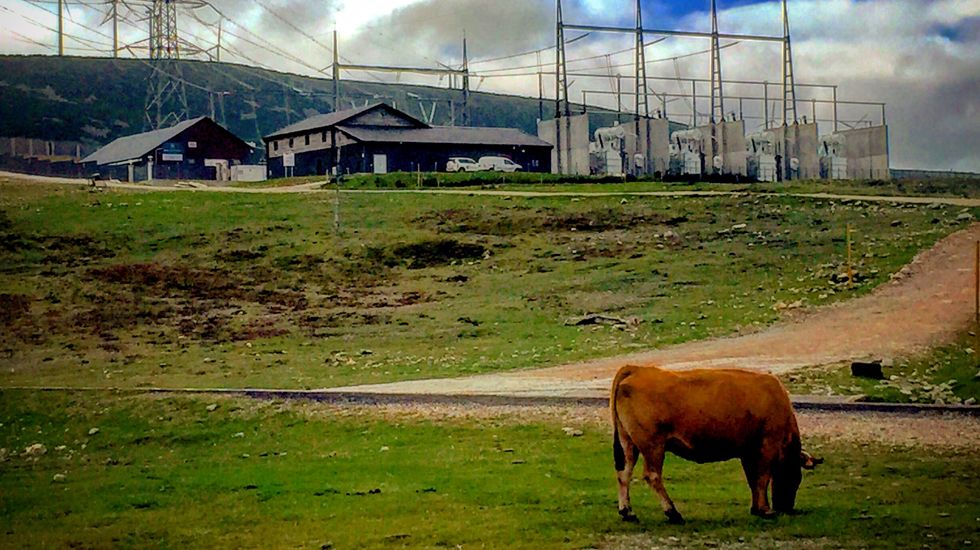 Una etapa por el puerto del Palo