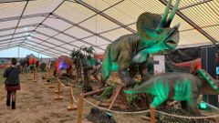 Dinosauria Experience llegará el sábado a Lugo