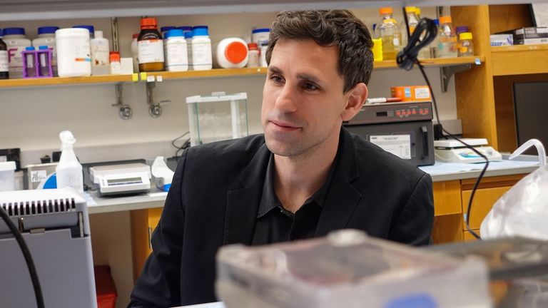 Así es ApexOracle, la inteligencia artificial que lee el ADN de las bacterias para diseñar antibióticos en minutos