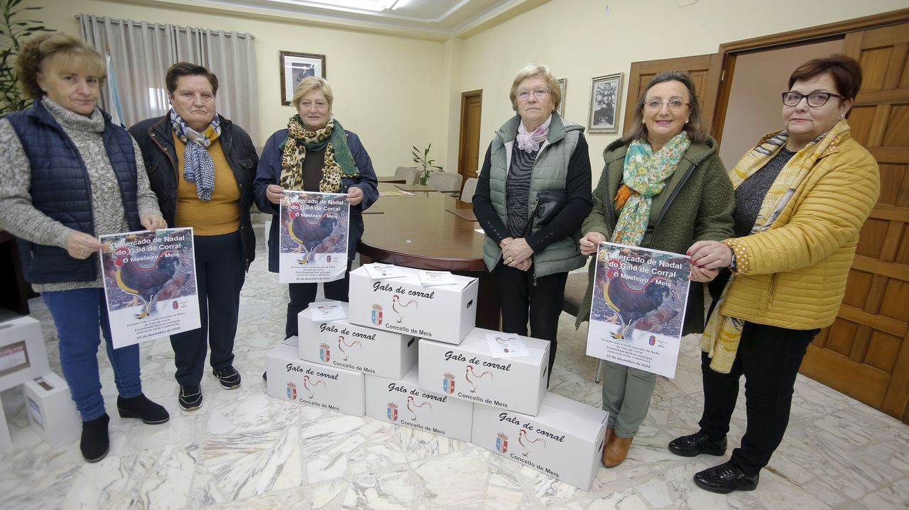 Pap Noel enciende la Navidad en Vilagarca.Criadoras de Meis, ayer durante la presentacin del Mercado de Nadal, en el Concello de Meis