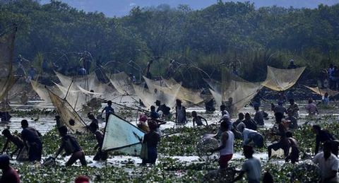 Una multitud pesca durante la celebracin del festival Magh Bihu en el distrito Kamrup en el estado de Assam (India).