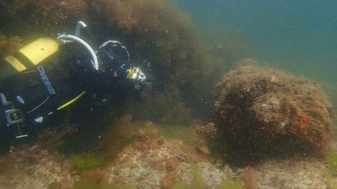 Un arqueólogo subacuático en una prospección anterior, en la ría viveirense, en el pecio de la Magdalena