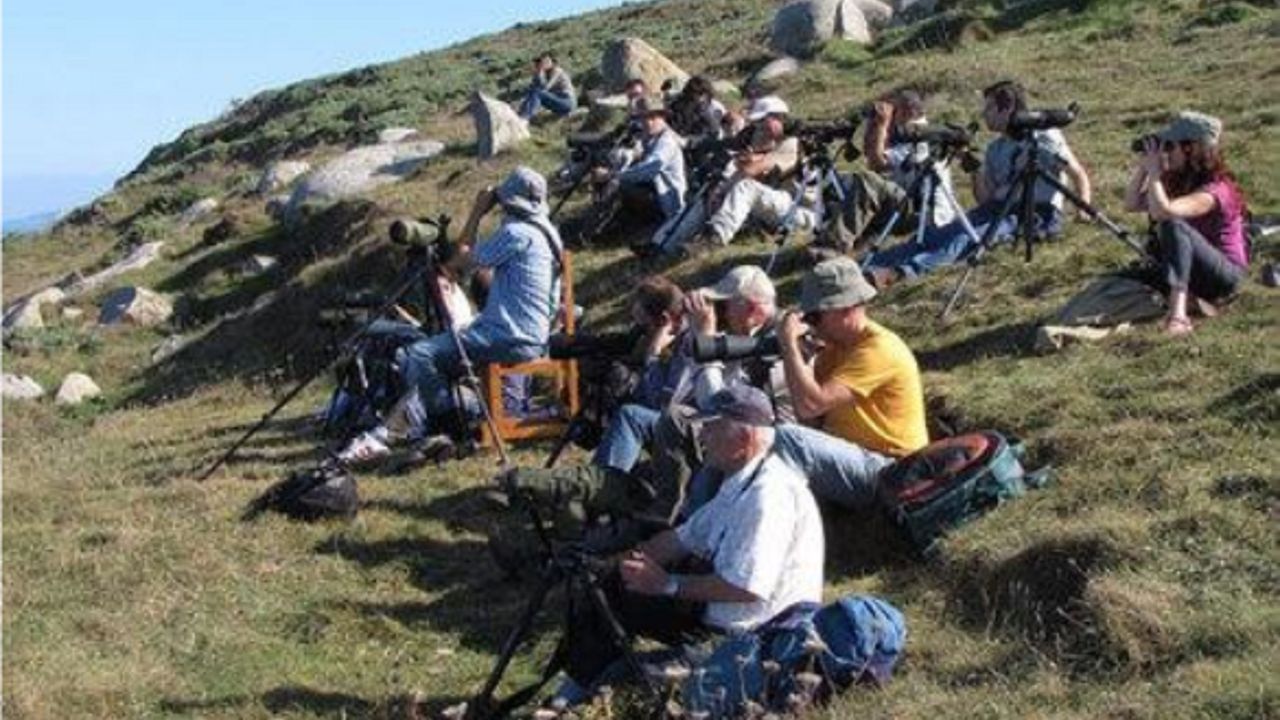 Un grupo de ornitlogos sigue el paso de aves marinas desde las inmediaciones del observatorio de Estaca de Bares