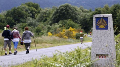 Un hito señalizador del Camino de Invierno en las cercanías de Diomondi, en O Saviñao