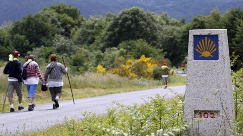 Un hito sealizador del Camino de Invierno en las cercanas de Diomondi, en O Saviao