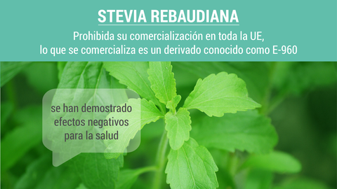 Stevia Rebaudiana