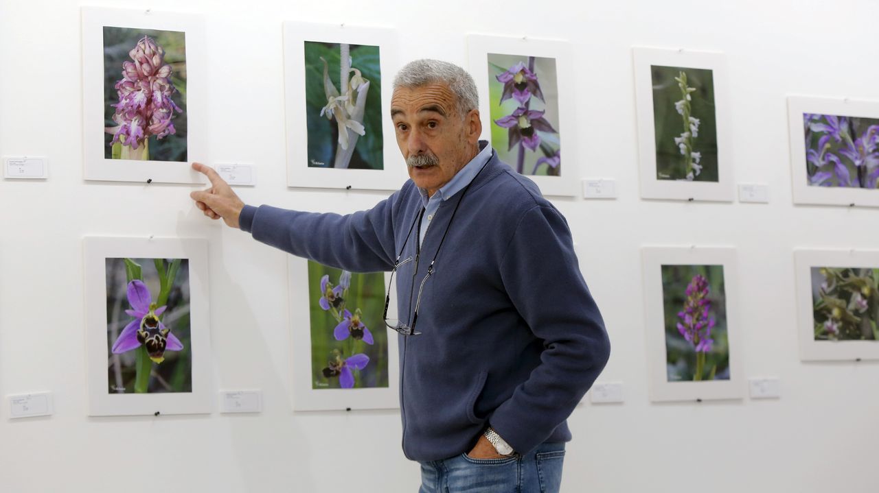 As se camufla en la naturaleza el fotgrafo de las 46 orqudeas gallegas.Manuel Mario vive en Villestro, en un tramo del Camino de Fisterra, destaca, y dice haber sacado mucho provecho sus aventuras jacobeas tanto a ttulo profesional como personal. Como parte implicada en una investigacin que entrevist ya a 15.000 peregrinos, avala los beneficios que conlleva a nivel mental y fsico frente a otras alternativas vacacionales. 