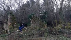 Restos de construcciones de la aldea desaparecida de Lamas que se estn poniendo al descubierto despus de haber permanecido durante dcadas ocultos por la vegetacin