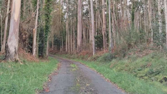 Imagen de una de las obras de asfaltado.