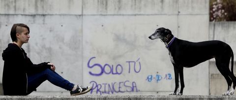 Anta lvarez suele salir a pasear con su perra por el barrio de Navia, en el que reside. Aunque los galgos necesitan correr, al suyo le gusta ms dormir. 