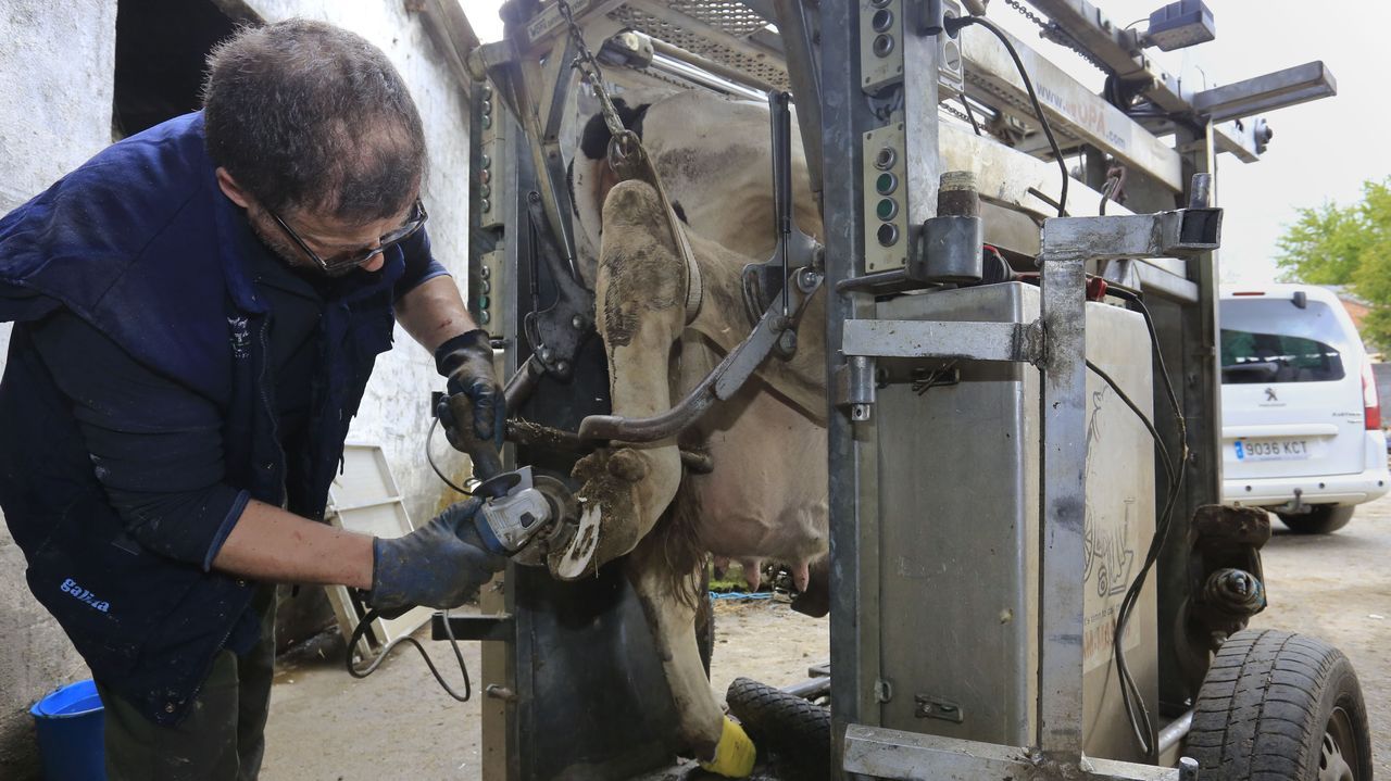 Luis Gonzlez, podlogo de vacas.Adaptacin teatral de Faria