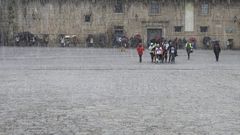 Una granizada frente a la Catedral recibi a los peregrinos por la donacin de rganos