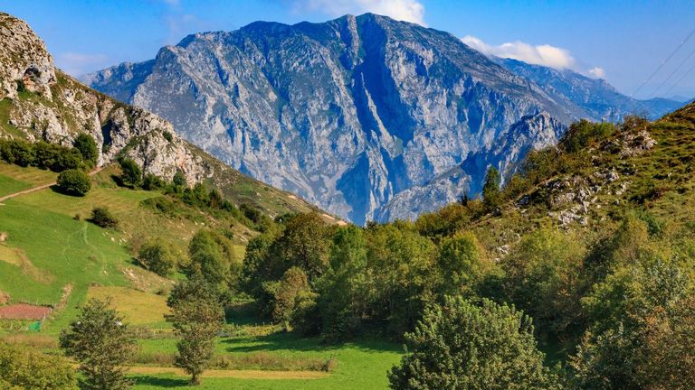 Picos de Europa