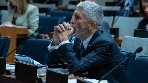El ministro de Interior, Fernando Grande-Marlaska, en la presentación del Centro Memorial de víctimas del terrorismo en la ONU el pasado jueves.