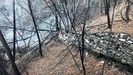 Una imagen tomada en el entorno de la aldea de As Laceiras tras el incendio forestal que se produjo en la zona en el 2021 y puso al descubierto un conjunto de antiguas terrazas agrcolas