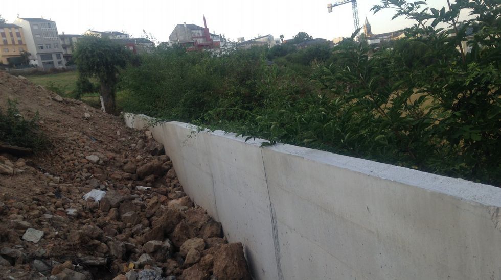 Media distancia que llega a Lugo para conectar con el Alvia a Madrid