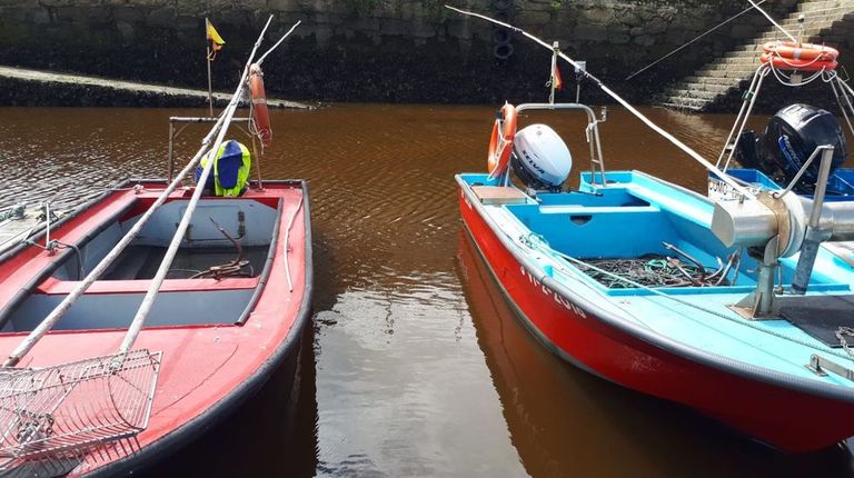 Investigan si el lodo de la ría de Pontevedra oculta partículas de microorganismos que causan mareas rojas