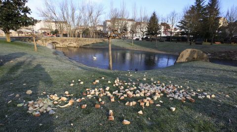 Los patos del Parque dos Condes tenan esta maana abundancia de pan para combatir el fro