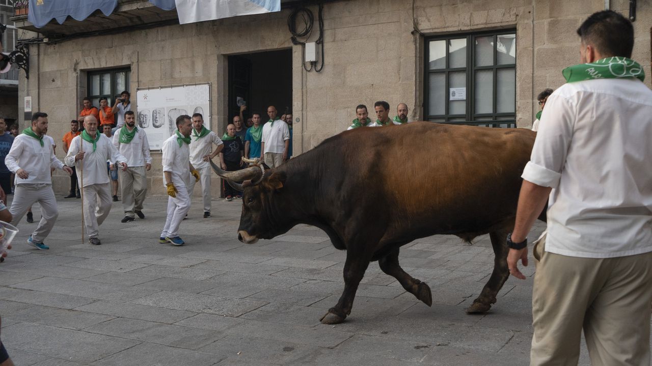 La Polica Nacional recuerda la importancia de adoptar algunas precauciones en las fiestas del Apostol.Festa do Boi en Allariz