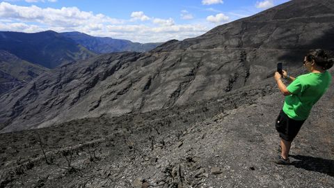 Zona arrasada tras un incendio este verano.