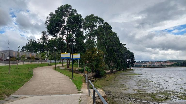 La nueva ruta irá por encima de la ría tras la tala de varios árboles