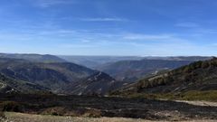Terreno afectado por un incendio forestal en Asturias