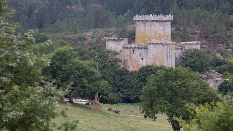 En el patrimonio histrico de Palas de Rei destaca el Castillo de Pambre, una imponente fortaleza seorial flanqueada por una torre central y por otras cuatro torres de menor tamao. Todas ellas estn comunicadas por una muralla defensiva, cerca de la que se encuentra un hrreo. 