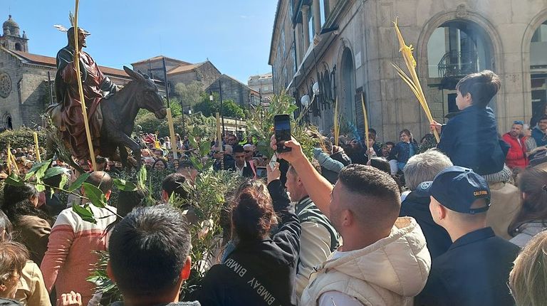 Un bosque de ramas de olivos y palmas llena la plaza de A Ferrería en Pontevedra con los niños como protagonistas de la festividad