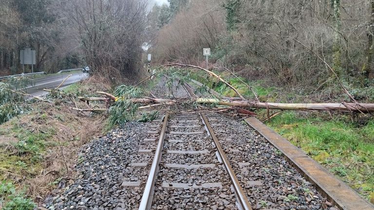 El octavo temporal del año provoca estragos en toda Galicia: cortes en la carretera, árboles caídos y desprendimientos de tierra
